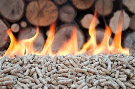 Biomass Solid Fuel