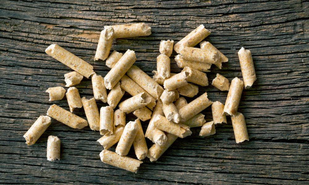 Piece centralnego ogrzewania na pellet – co warto o nich wiedzieć?